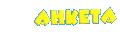 Анкета посетителя сайта